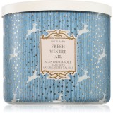 Bath &amp; Body Works Fresh Winter Air lum&acirc;nare parfumată 411 g