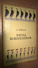 I. Peltz - Fauna burzuluitilor - nuvele (Editura pentru Literatura, 1965) foto