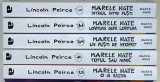 MARELE NATE , VOLUMELE I - V de LINCOLN PEIRCE , 2021