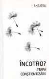Amratra - Incotro? Etapa constietizarii