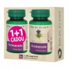 Armurariu Dacia Plant 1+1 Cadou 60 comprimate, Supliment alimentar, Protectie si regenerare ficat, detoxifiere