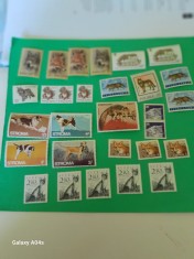Lot -Fauna-Caini-Lot de 29 timbre din diferite tari.Serii deparaiate MNH