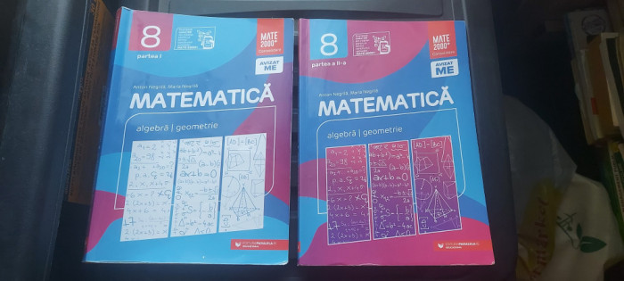 MATEMATICA ALGEBRA GEOMETRIE CLASA A VIII A ANTON NEGRILA EDITURA PARALELA 45