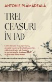 Trei ceasuri in iad Ed.2024 - Antonie Plamadeala