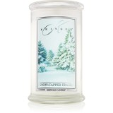 Kringle Candle Snow Capped Fraser lum&acirc;nare parfumată 624 g