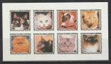 Guinea Ecuatoriala 1978 - Pisici NEDANTELATA S/S 1v MNH, Nestampilat