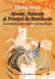 Aivoie Naivoie si Printul de Bunavoie - Univers