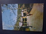 Carte postala paltinis-complexul turistic