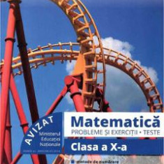 Matematica. Probleme si exercitii. Teste - Clasa 10 - Marius Burtea, Georgeta Burtea