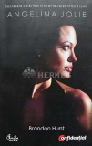 Cumpara ieftin Angelina Jolie. Secretele celei mai influente celebritati a lumii - 2009 - Brandon Hurst (@C183), Curtea Veche