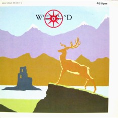 VINIL Big Country &lrm;&ndash; Wonderland 12", 45 RPM, (VG++)