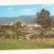RF64 -Carte Postala- Campulung Moldovenesc, necirculata