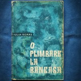 O plimbare la Baneasa - Iulia Soare - Roman - Beletristica