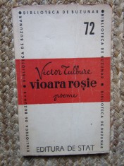 VIOARA ROSIE - VICTOR TULBURE foto
