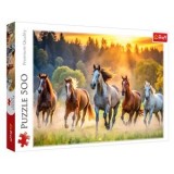 Puzzle cu 5 Cai la Apus, 500 de Piese, Multicolor, CMCLASS