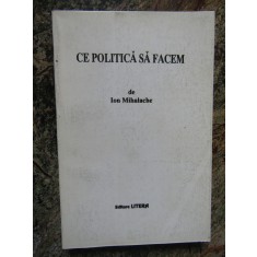 Ion Mihalache - Ce politica sa facem (1995)