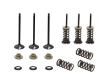 Set supape otel admisie Yamaha YZF 450 03- 09, WR 450 F 03- 15, YFZ 450 03- 09, YFZ 450 R X 09- 20, Gas Gas EC 450 F 13- 15