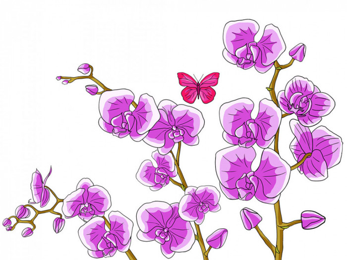 Sticker decorativ, Orhideie, 150 cm, 399STK-1