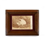 Prin?ul Carol, fotografie de cabinet, atelier Franz Mandy