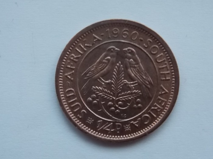 1/4 PENCE 1960 AFRICA DE SUD-XF
