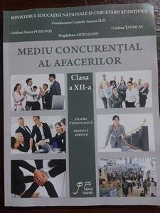 Mediu concurential al afacerilor clasa a 12-a - Magdalena Ardeleanu foto