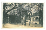 5174 - SIBIU, Romania - old postcard, real PHOTO - unused, Necirculata, Printata