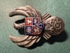 Insigna specialist de clasa ATTNA aviatie militara model dupa an 2000