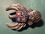 Insigna specialist de clasa ATTNA aviatie militara model dupa an 2000