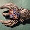 Insigna specialist de clasa ATTNA aviatie militara model dupa an 2000