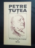 Petre Țuțea - Proiectul de tratat