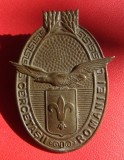 Insigna Cercetasii Romaniei 3.0 x 4.0 cm