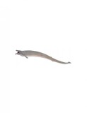 Figurina Basilosaurus XL Collecta