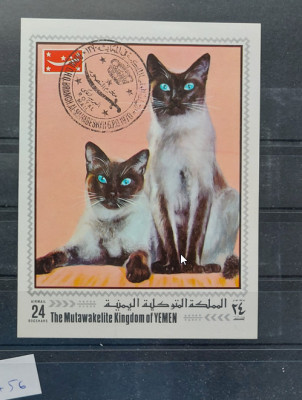 TS21 - Timbre serie Yemen - 1970 Colita - pisici foto