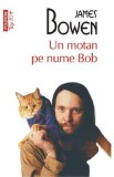 Un motan pe nume Bob - James Bowen