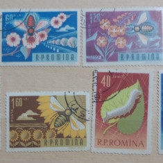 Romania 1963 Lp 574 sericicultura și apicultura serie stampilata