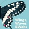 Wings, Waves, and Webs: Patterns in Nature