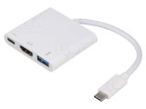 Adaptor USB 3.0/3.1 200mm Alb