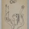 PATOS CONTEMPORAN , CULEGERE DE VERSURI , grafica de ADRIAN IONESCU , 1965