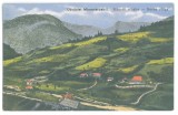 4992 - BORSA, Maramures, Panorama, Romania - old postcard - unused