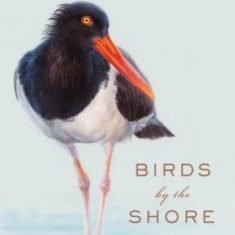 Birds by the Shore: Observing the Natural Life of the Atlantic Coast