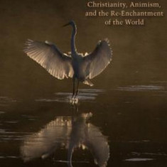 When God Was a Bird: Christianity, Animism, and the Re-Enchantment of the World