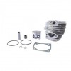 Set Motor Drujba 5200 Micul Fermier, 45mm, Complet