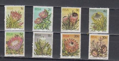 A12 S5 10 - Timbre foarte vechi - Africa de sud - flori de cactus foto