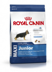 Hrana uscata pentru caini, Royal Pet Maxi Junior, 4 Kg foto