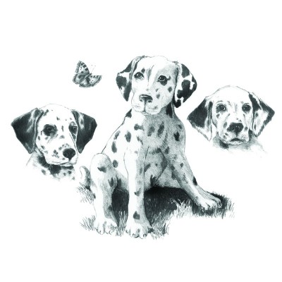 Set pentru realizarea unui desen in creion - Dalmatieni foto