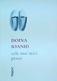 Doina Ioanid - Cele mai mici proze