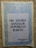 PETRU DIACONU DAVID - DIN ISTORIA SFINTILOR POPORULUI ROMAN