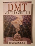 Rick Strassman, M.D. - DMT: molecula spiritului