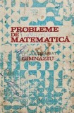 Probleme de matematica pentru gimnaziu - Ion Petrica (AG8)