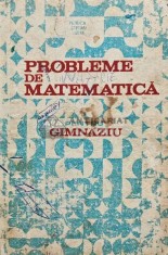Probleme de matematica pentru gimnaziu - Ion Petrica (AG8) foto
